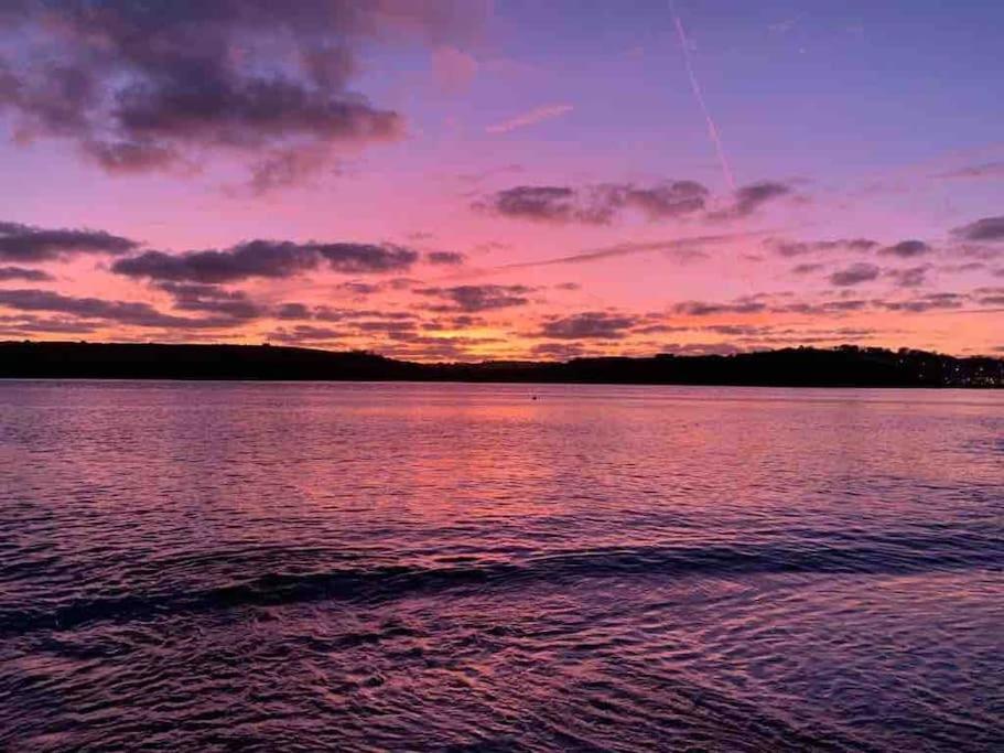 The Bird House - Coastal Lodge In Lovely Forest Setting Nr. Kinsale Cork Dış mekan fotoğraf